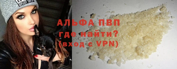 молекула духа Вяземский