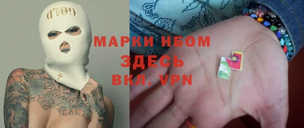 молекула духа Вяземский