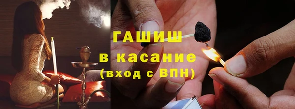 молекула духа Вяземский