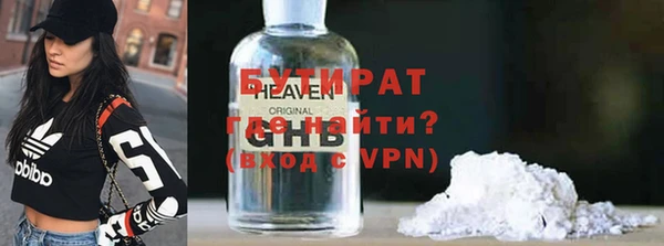 молекула духа Вяземский