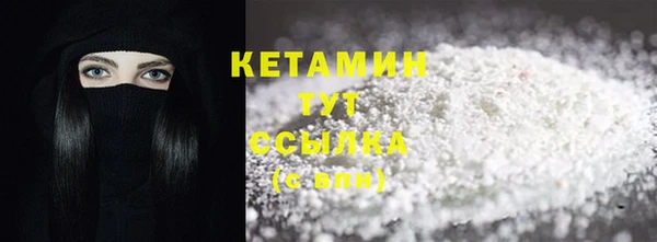 молекула духа Вяземский