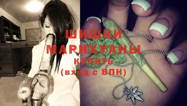 молекула духа Вяземский