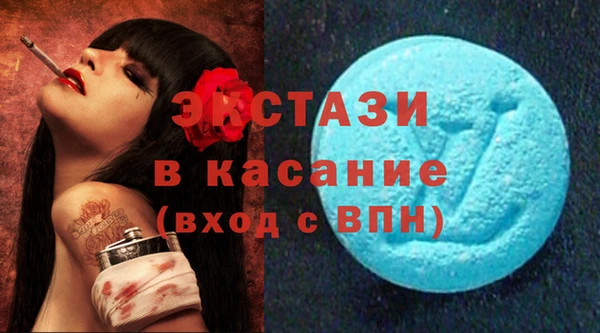 молекула духа Вяземский