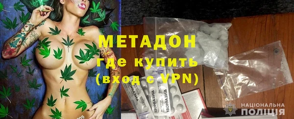 молекула духа Вяземский