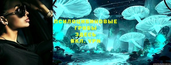 гашик Дмитровск
