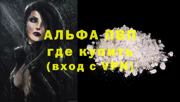 молекула духа Вяземский