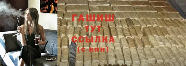молекула духа Вяземский