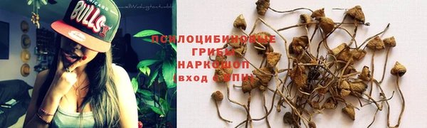 2c-b Дмитров