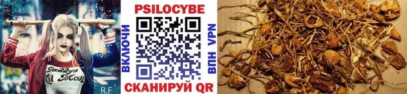Псилоцибиновые грибы мухоморы Купить Курчалой